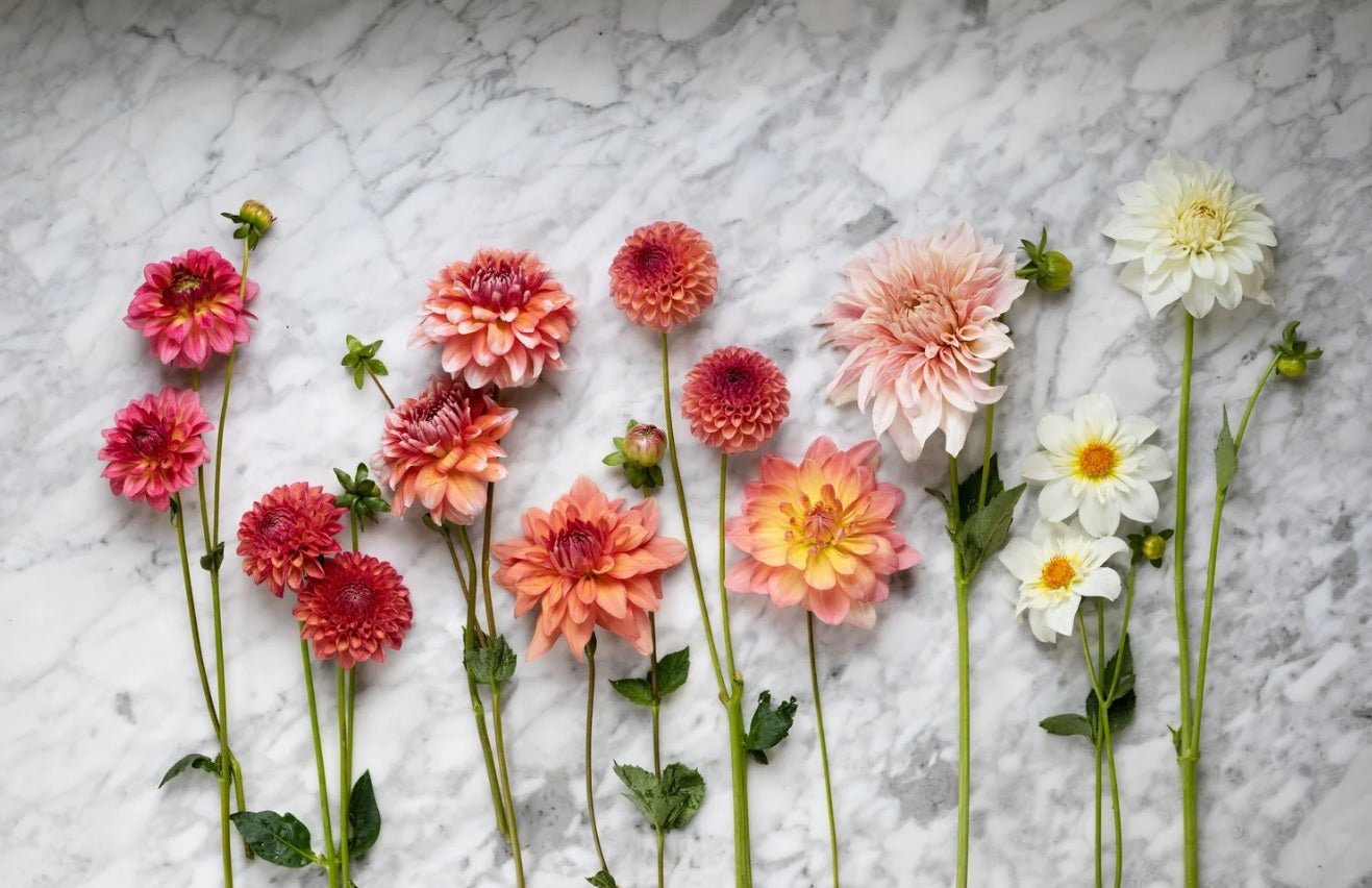 Best Flowers for Bouquets: Stunning Blooms That Make Every Arrangement Special - Tooka Florist