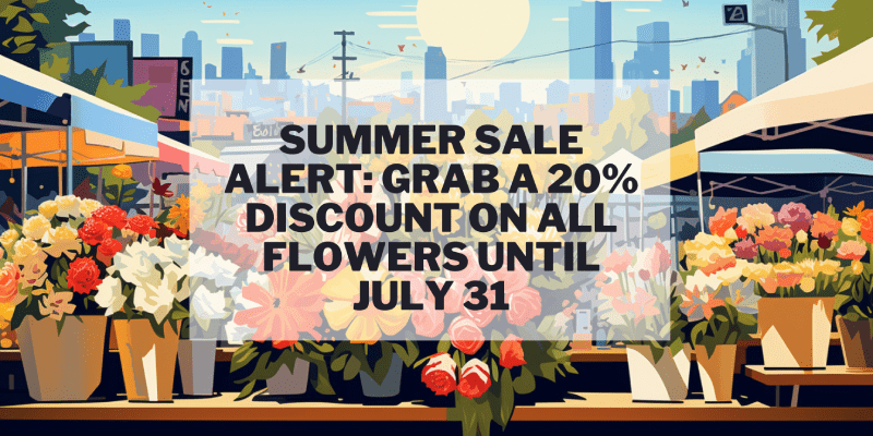 Blossom in the Sun: Flower Summer Sale Extravaganza - Tooka Florist