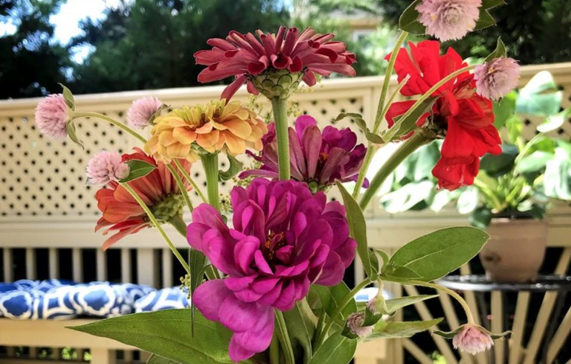 Bringing Beauty to Your Doorstep: The Advantages of Shopping at a Flower Shop - Tooka Florist