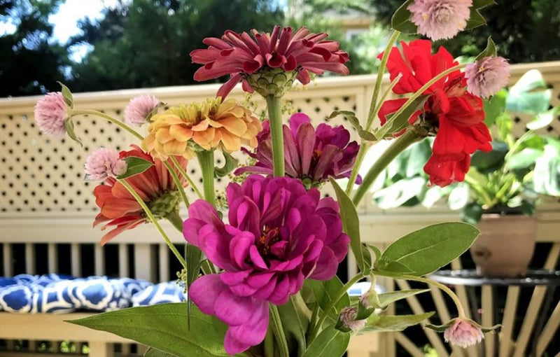 Bringing Beauty to Your Doorstep: The Advantages of Shopping at a Flower Shop - Tooka Florist