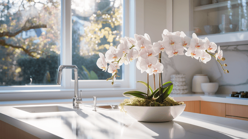 Elegant Hostess Gifts: Flowers - Tooka Florist