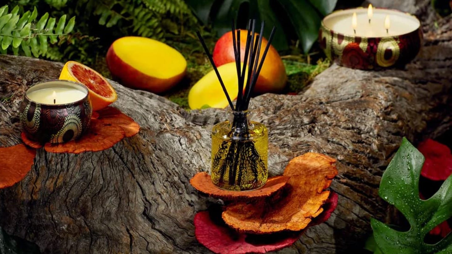 Enhance Your Home's Ambiance with Panjore Lychee Reed Diffuser - Tooka Florist