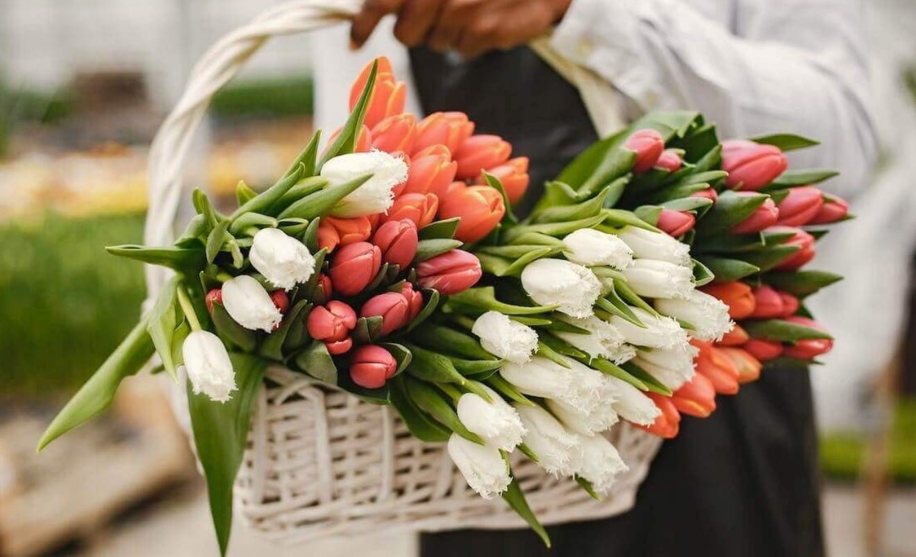 Favourite Flowers – Discover the World’s Most Popular Blooms at Tooka - Tooka Florist