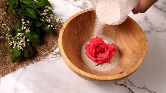 How to Preserve Flowers to Keep Them Fresh Longer - Tooka Florist