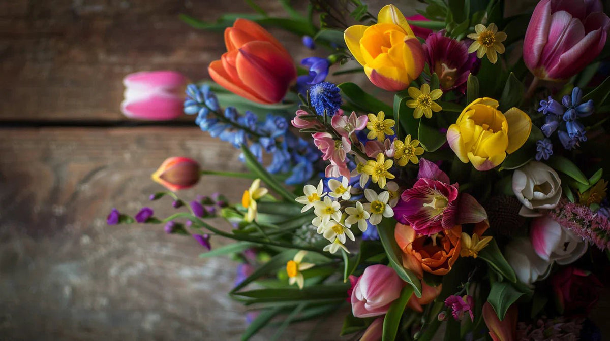 March Blooms: Prelude to Spring - Tooka Florist