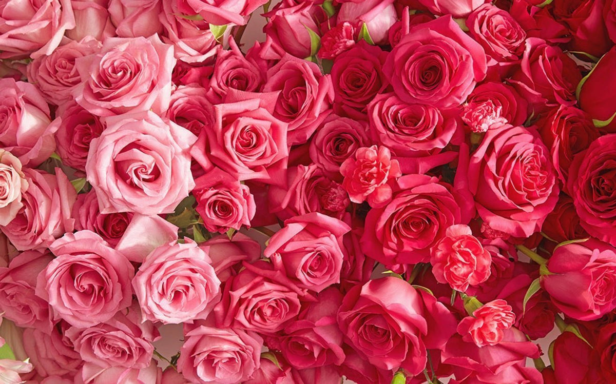North Vancouver Flower Delivery for a Perfect Valentine's Day Celebration - Tooka Florist