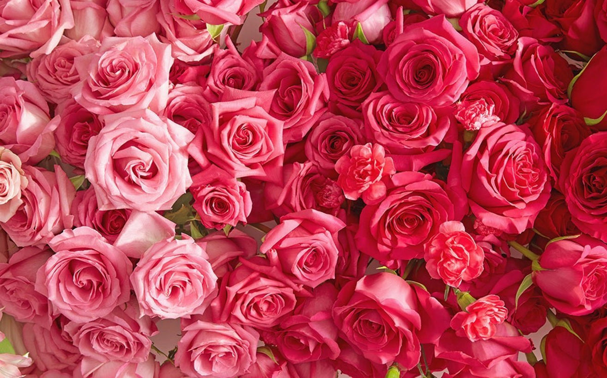 North Vancouver Flower Delivery for a Perfect Valentine's Day Celebration - Tooka Florist