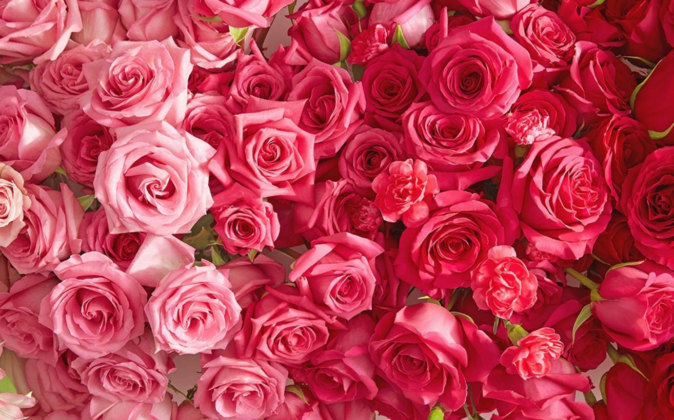 North Vancouver Flower Delivery for a Perfect Valentine's Day Celebration - Tooka Florist
