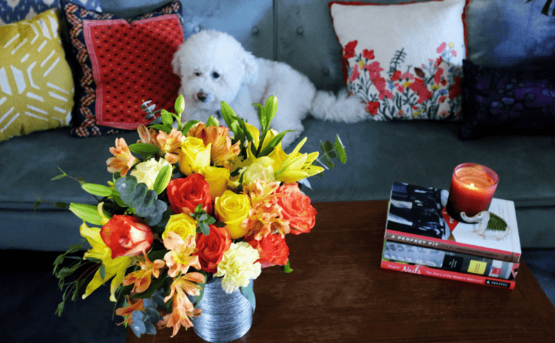 Pet Sympathy Bouquet Vancouver: Thoughtful Floral Tributes to Honor Your Beloved Companion - Tooka Florist