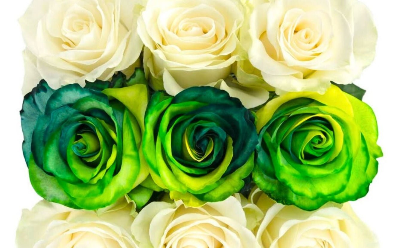 Preparing for St. Patrick's Day: Tips and Ideas - Tooka Florist