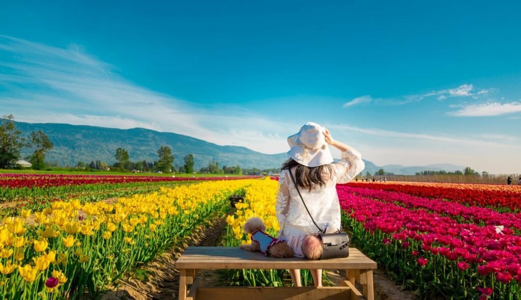 What Flowers Are in Season in Canada Throughout the Year? 🌸 - Tooka Florist