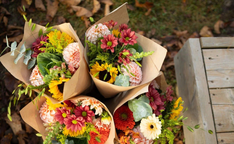 Where to Buy Bouquet of Flowers: Discover the Best Floral Shops Near You - Tooka Florist