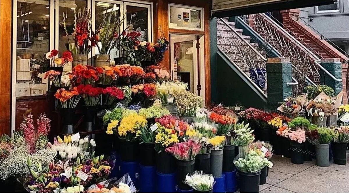 Where to Buy Flowers in Vancouver: Top Spots for Beautiful Blooms and Memorable Gifts - Tooka Florist