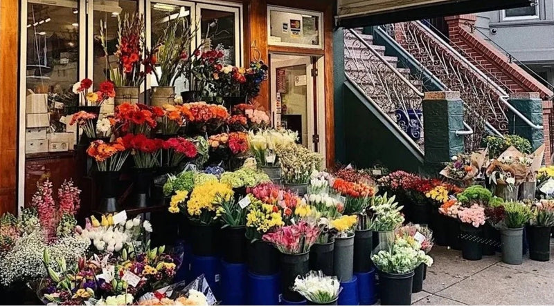 Where to Buy Flowers in Vancouver: Top Spots for Beautiful Blooms and Memorable Gifts - Tooka Florist