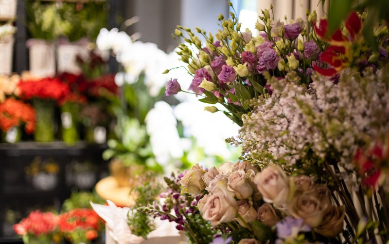 Why Flowers Are the Best Gift for Any Occasion - Tooka Florist