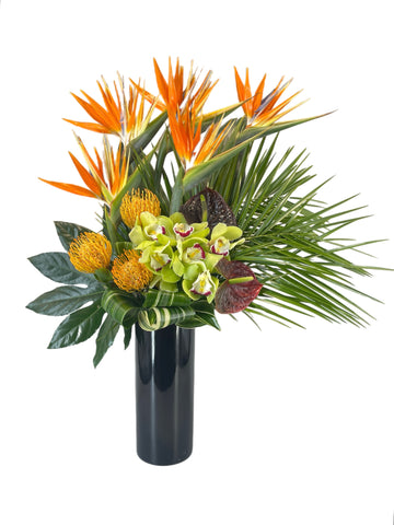 Tropical Orange - Tooka Florist