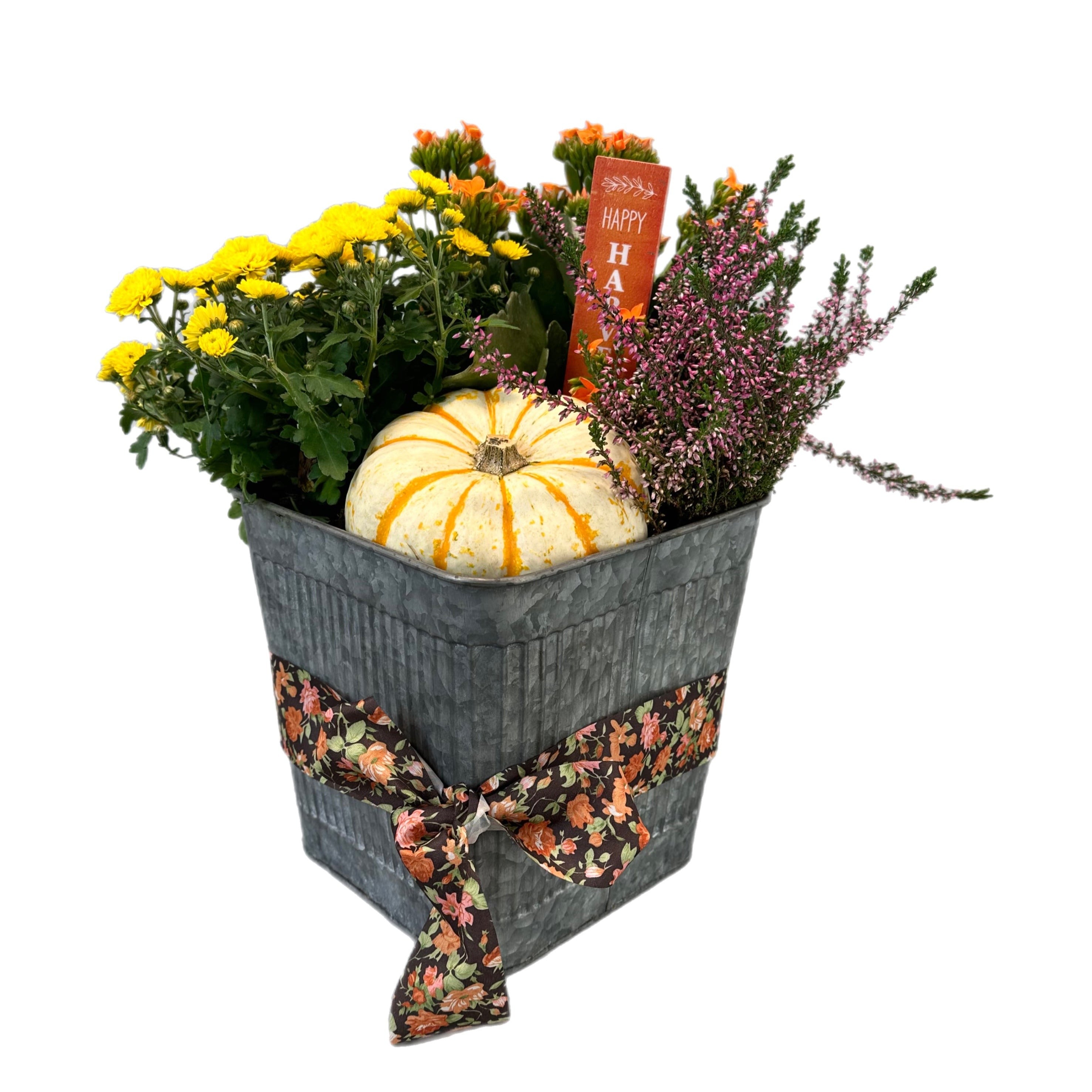 Happy Harvest - Tooka Florist