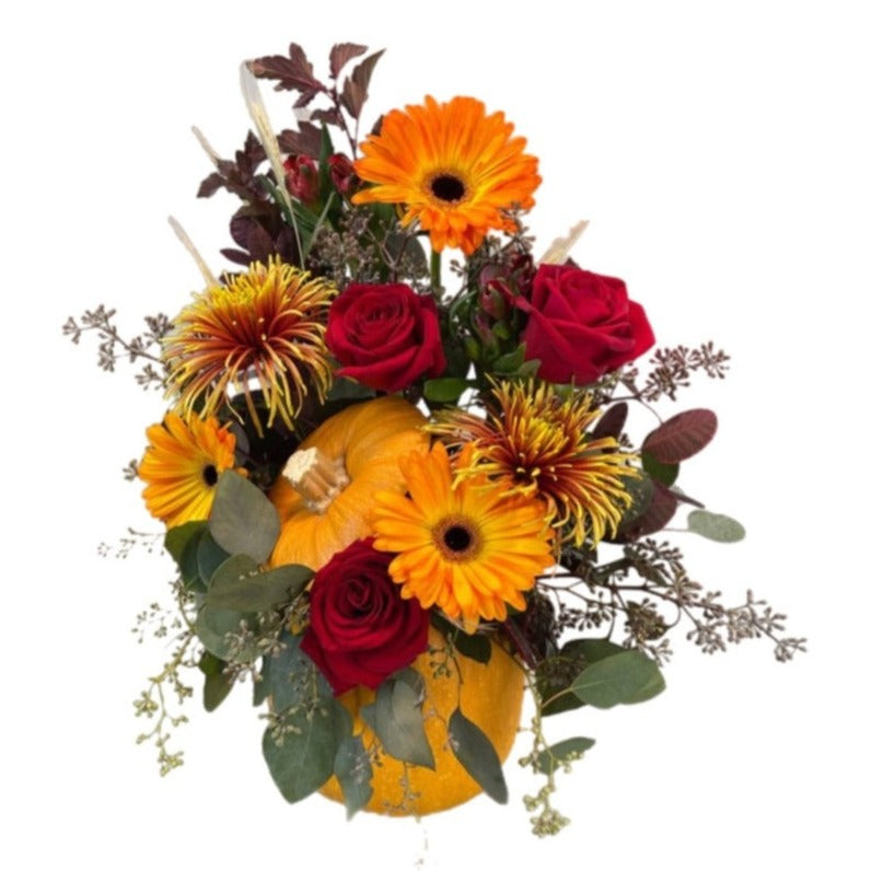 Thanksgiving Pumpkin - Tooka Florist