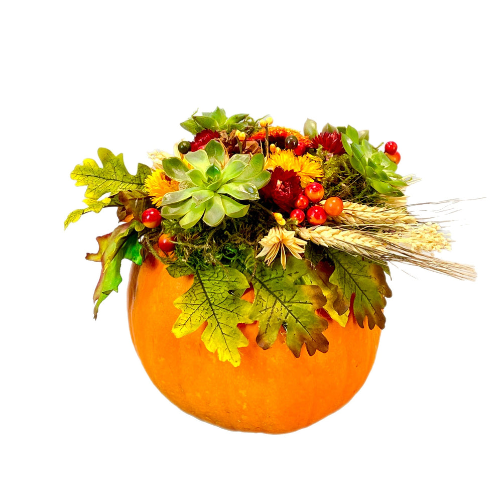 Harvest Celebration Pumpkin - Tooka Florist