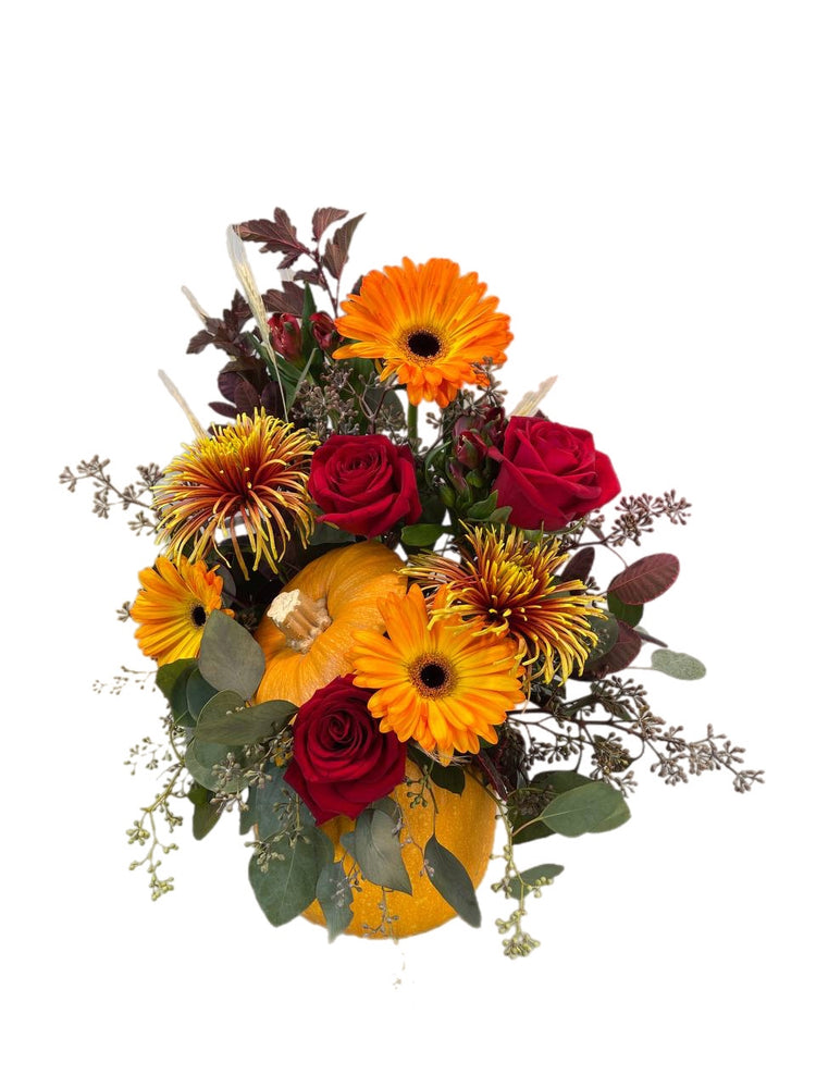 Thanksgiving Pumpkin - Tooka Florist