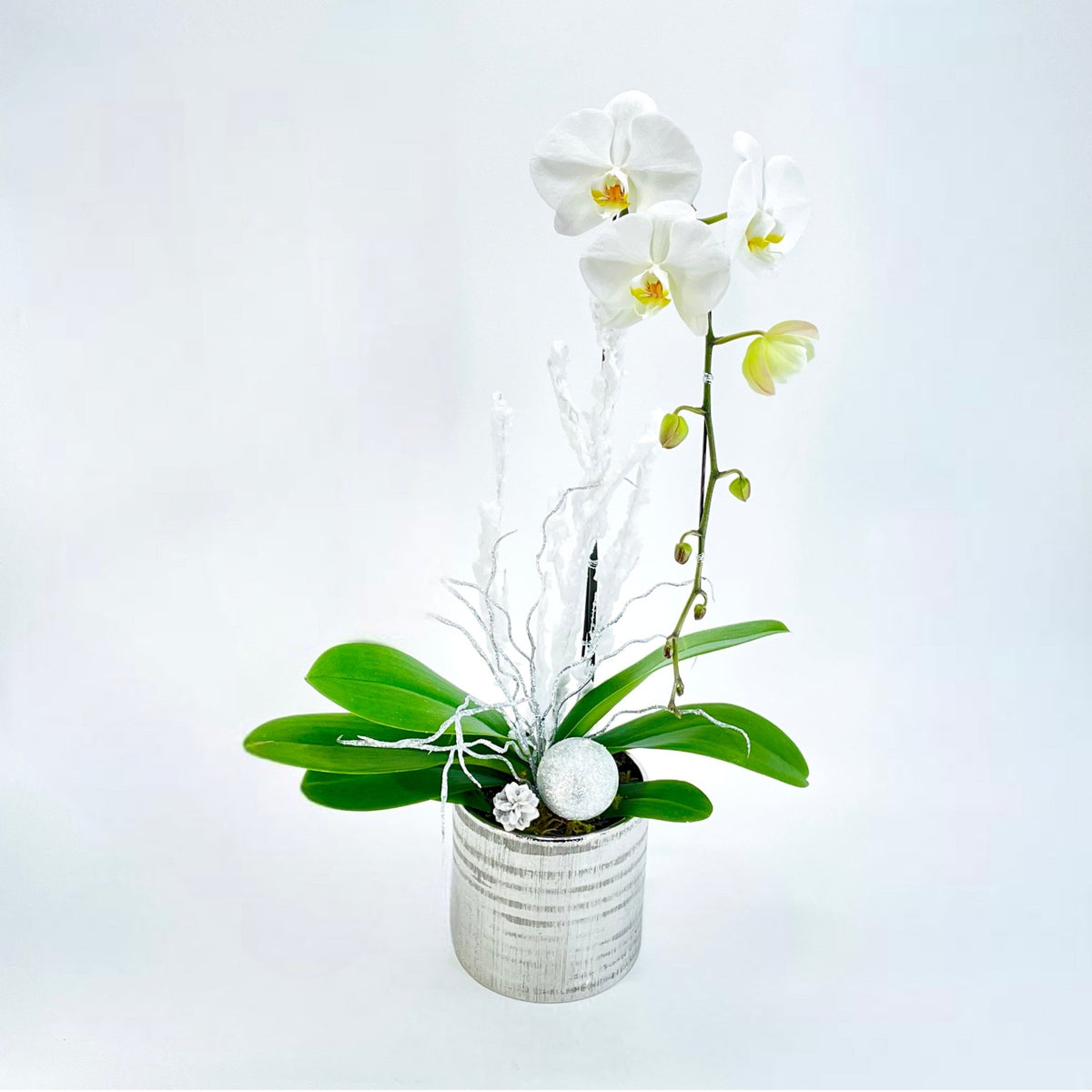 A Drop of silver by Tooka Florist – Luxury Flowers Serving North, West & Greater Vancouver