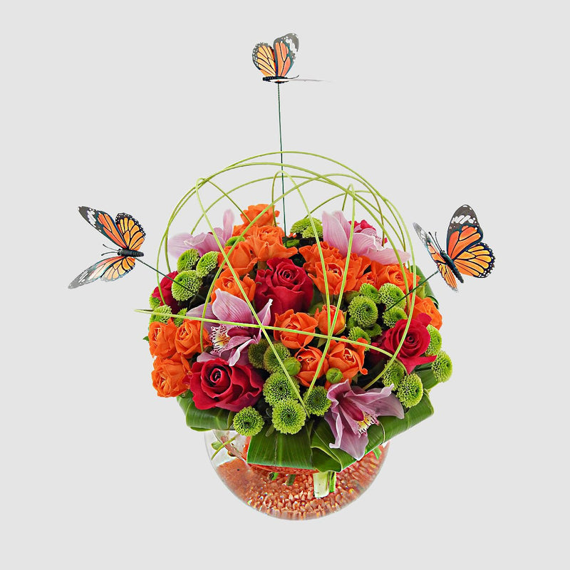 Butterfly Arrangement by Tooka Florist – Luxury Flowers Serving North, West & Greater Vancouver
