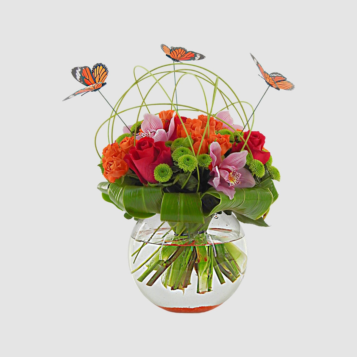 Butterfly Arrangement by Tooka Florist – Luxury Flowers Serving North, West & Greater Vancouver