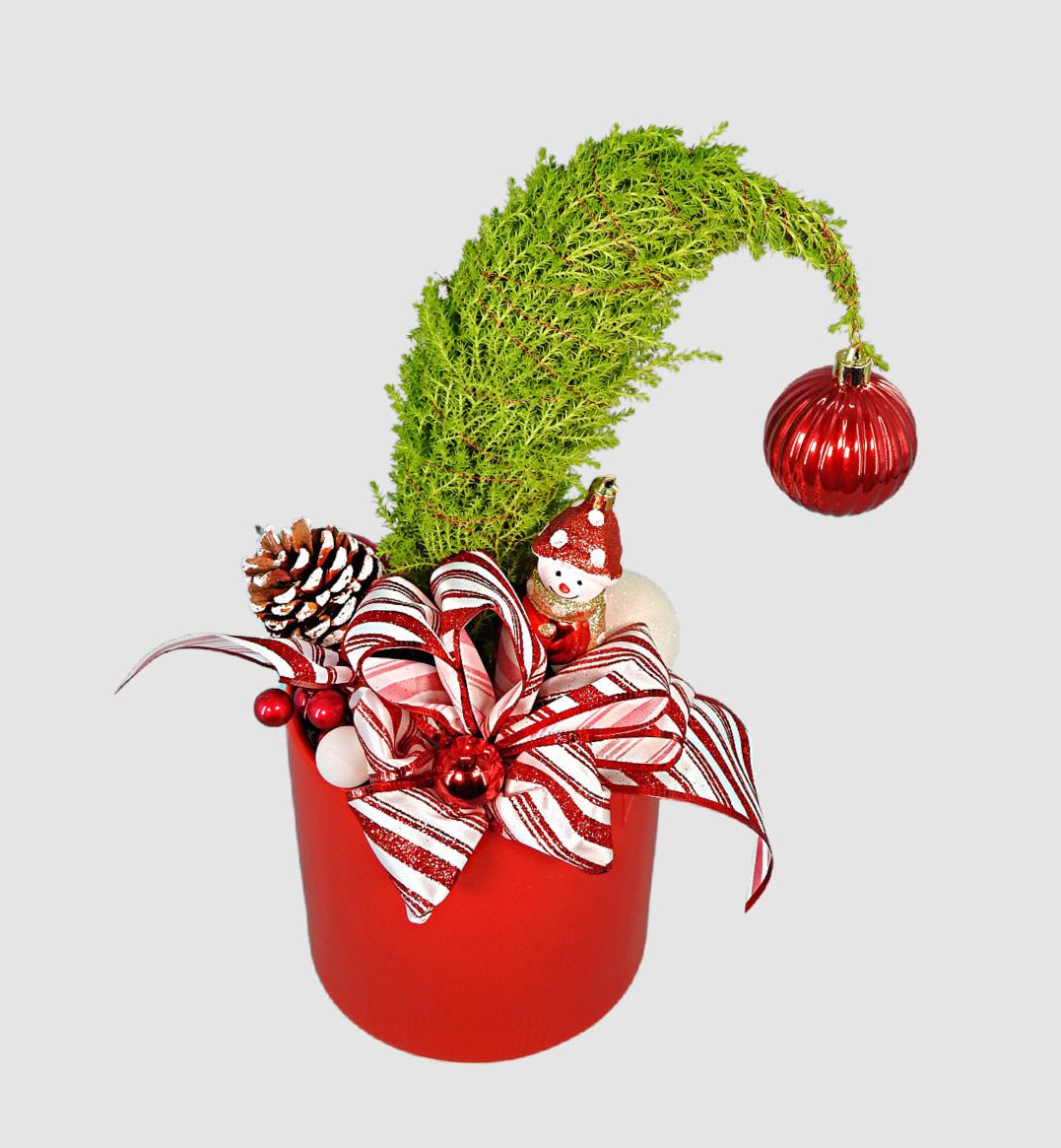 Candy cane Grinch tree by Tooka Florist – Luxury Flowers Serving North, West & Greater Vancouver