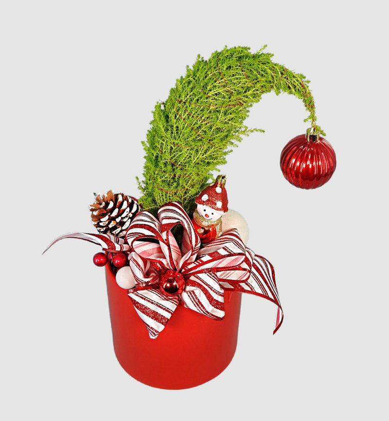 Candy cane Grinch tree by Tooka Florist – Luxury Flowers Serving North, West & Greater Vancouver