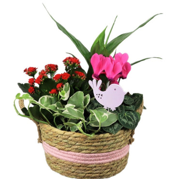8”Band Straw Basket - Tooka Florist