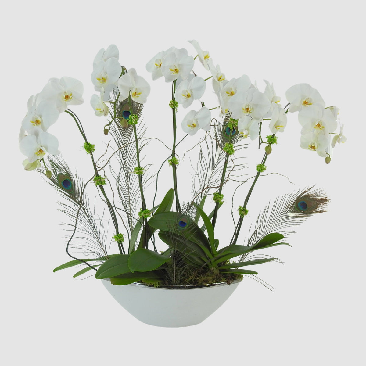 Orchid Forest by Tooka Florist – Luxury Flowers Serving North, West & Greater Vancouver