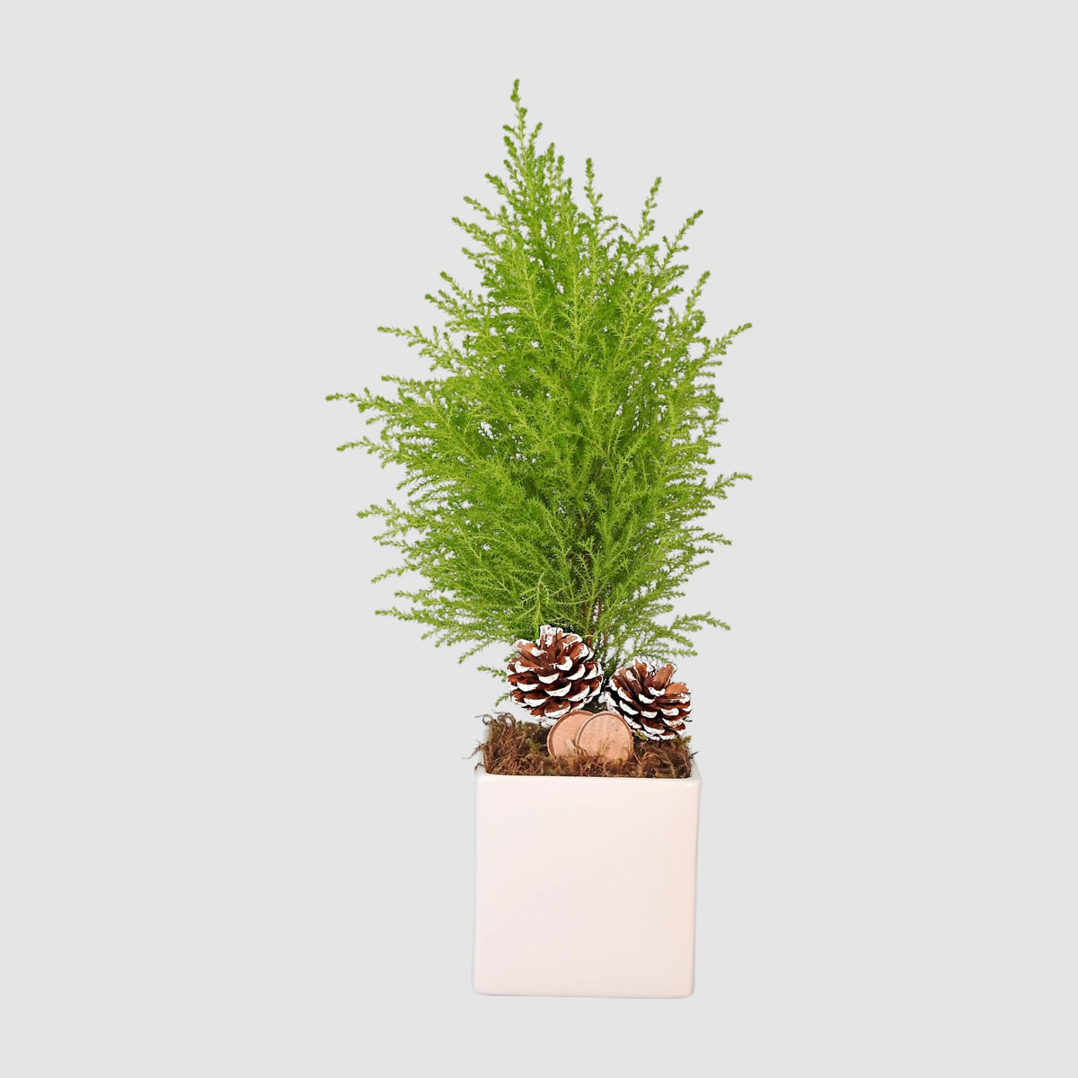 Pure White by Tooka Florist – Luxury Flowers Serving North, West & Greater Vancouver