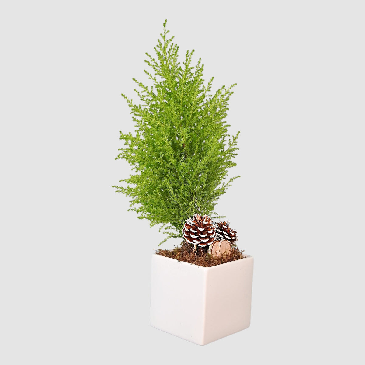 Pure White by Tooka Florist – Luxury Flowers Serving North, West & Greater Vancouver