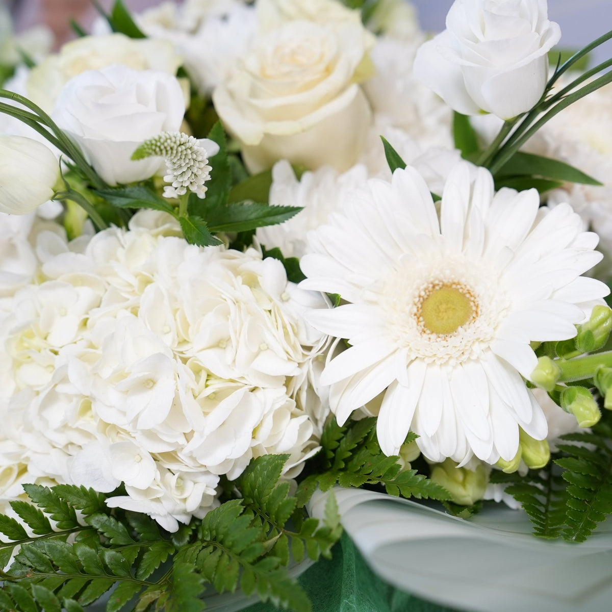 White Water - Wrap by Tooka Florist – Luxury Flowers Serving North, West & Greater Vancouver
