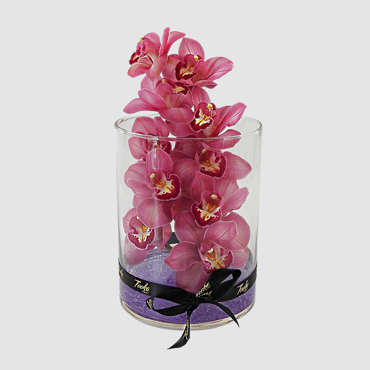 Burgundy Cymbidium Orchid - Tooka Florist