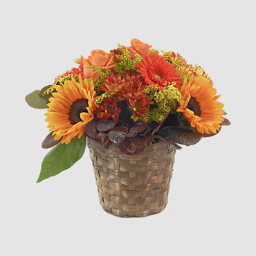 Autumn Basket - Tooka Florist