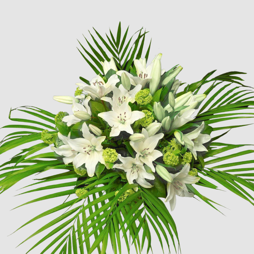 Snow white bouquet - Tooka Florist