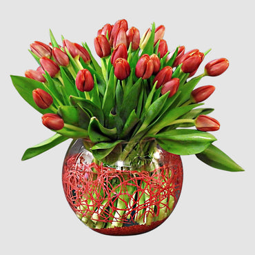 Tulips Arrangement - Tooka Florist