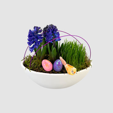 Hyacinth Boat - Tooka Florist