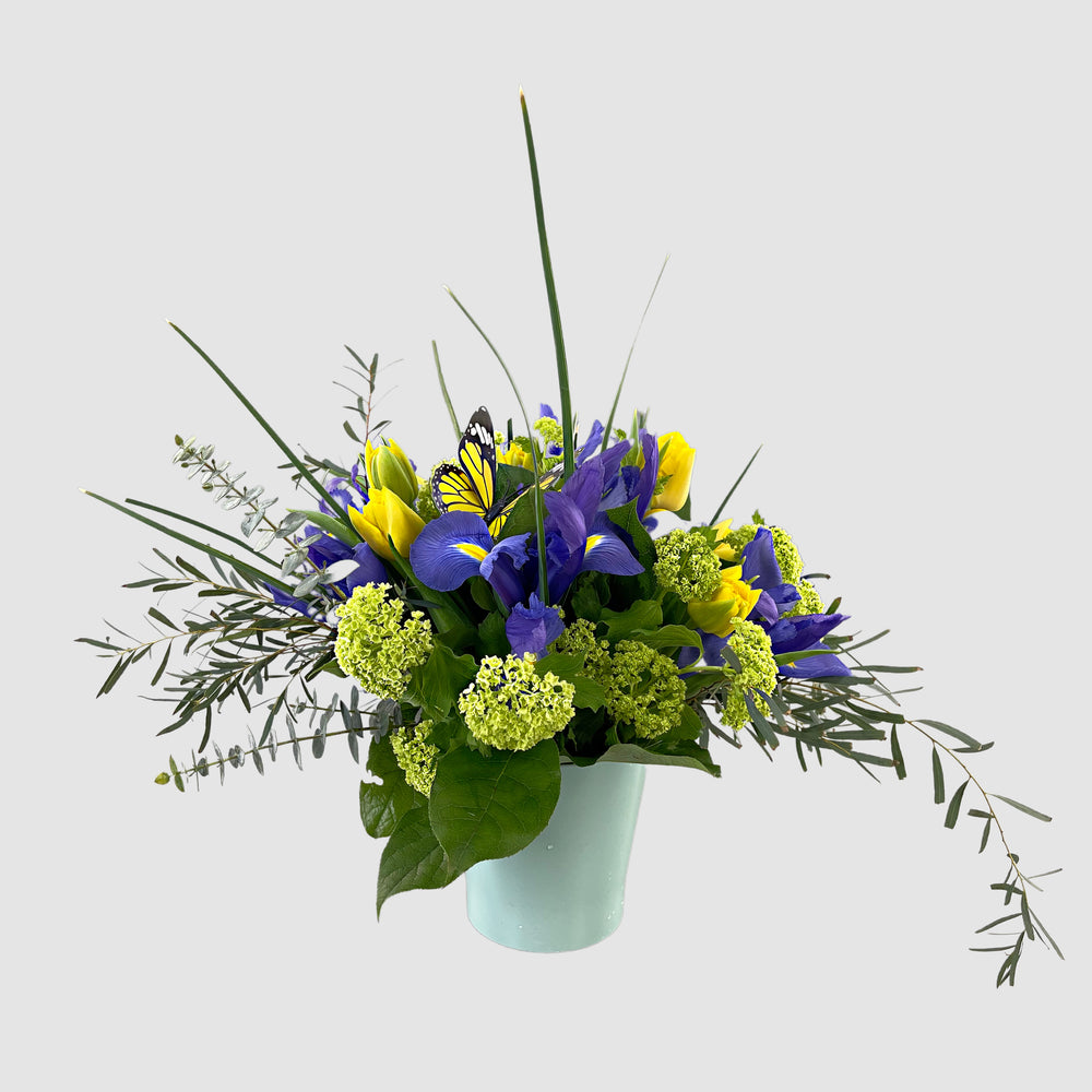 Iris Arrangement - Tooka Florist