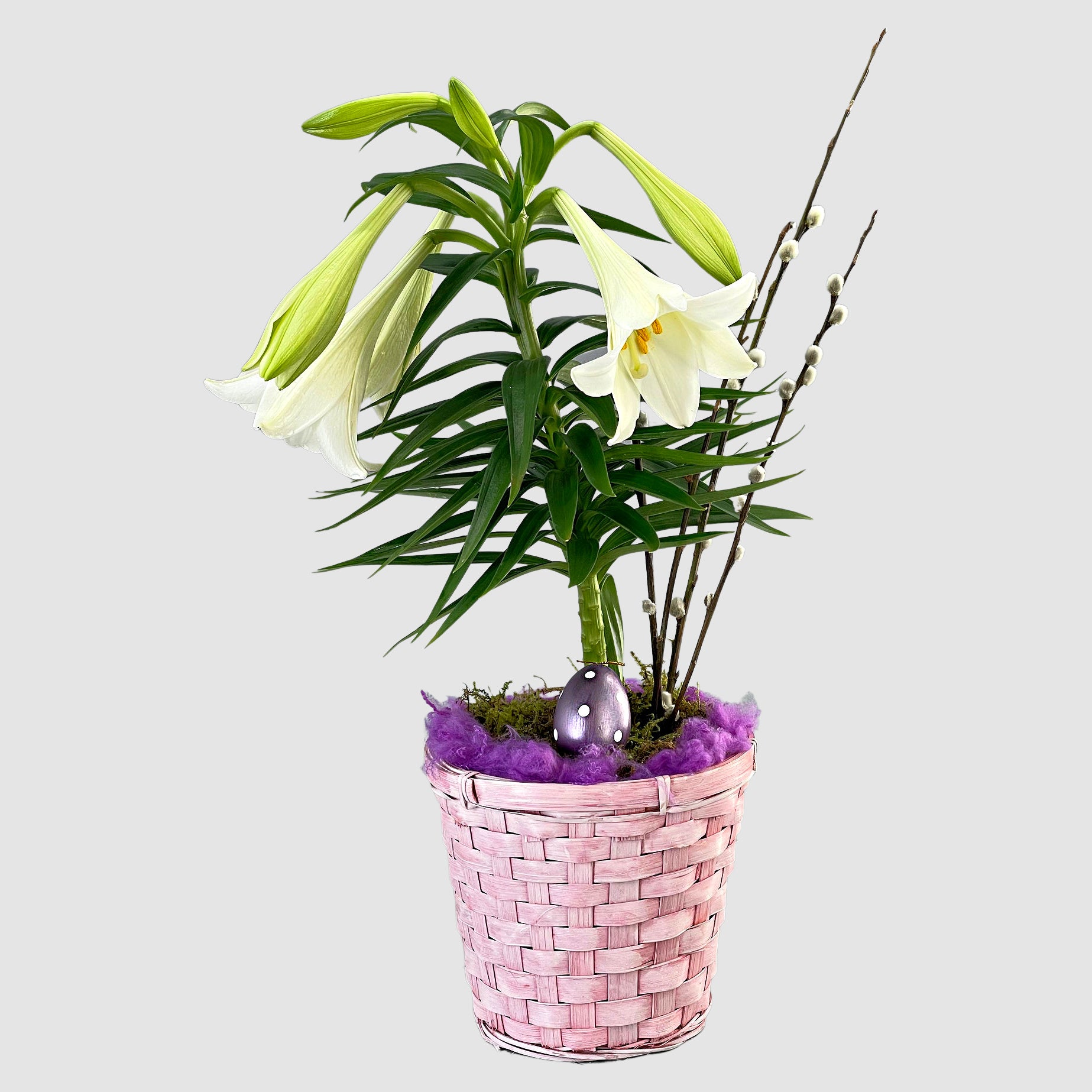 Easter lily - Tooka Florist