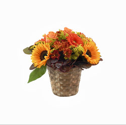Autumn Basket - Tooka Florist