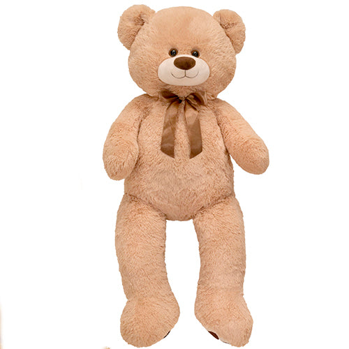 Teddy bear hug - Tooka Florist