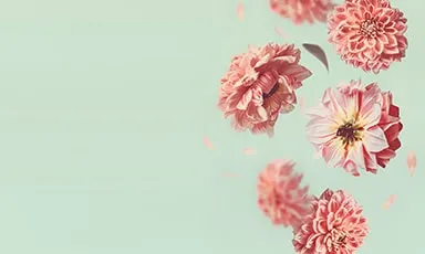Sympathy flowers banner with pink dahlias and heartfelt condolences message