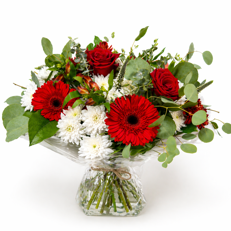 Warm Embrace bouquet with red roses, red gerbera daisies and white chrysanthemums in aqua pack
