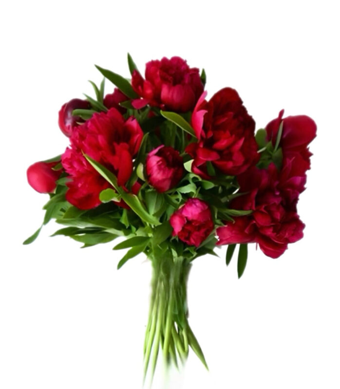 FullSizeRender 518423b6 9830 46cf bf4f c649e858a0ed