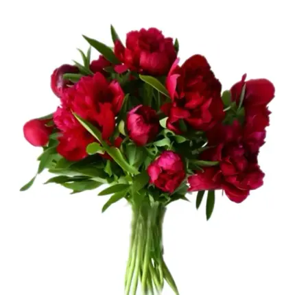 Peony Bouquet - Crimson red peony flower bouquet Vancouver