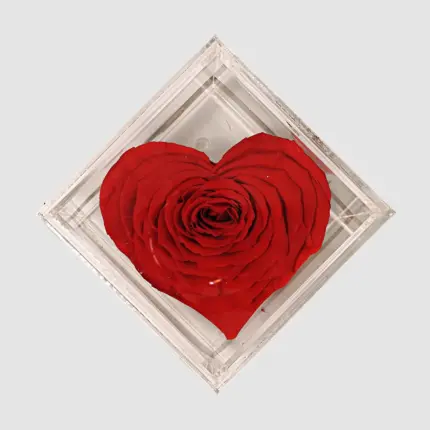 Preserved Red Rose - Heart shaped everlasting rose in clear acrylic box Vancouver