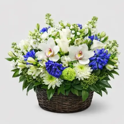 Spring Flower Basket - White orchids, blue hyacinths, and white roses in dark woven basket Vancouver