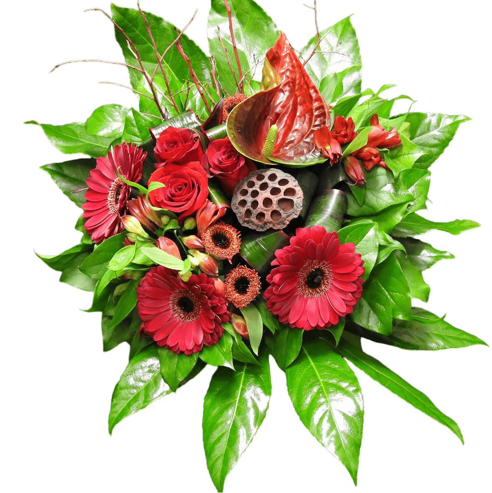 red-sunflower-tooka-florist-north-west-greater-vancouver-5835225.png Red Sunflower - Image 1